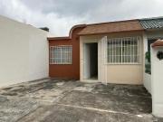 VENTA CA UNA PLANTA COYOL PALMAS