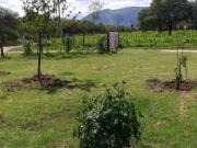 VENTA CAMPO 11 HECTAREAS SAN LUIS PAPAGAYOS MERLO