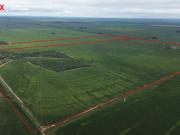 VENTA CAMPO 140 HAS SOBRE RUTA 36 ALMAFUERTE CBA