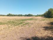 VENTA CAMPO 16 HECTAREAS ZONA PILAR