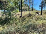 VENTA CAMPO 1Ha. CASA A TERMINAR VA.GRAL.BELGRANO