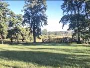 Venta, Campo, 50 hectáreas, Ruta 015, Concordia, área...