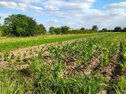 Venta campo 5 hectareas Villa Retiro