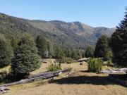 Venta campo 64HA Curarrehue Pucón