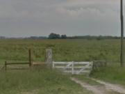 Venta Campo 77 Hect Ruta 2 Km90a 600mtrs Peaje Samborombon