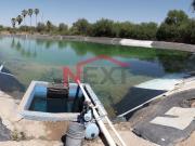 VENTA CAMPO AGRICOLA KM.10.5 CARRETERA A URES, SONORA