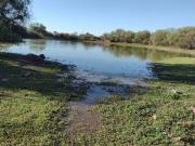 VENTA CAMPO DE MONTE, A 7 KM AL NORTE DE MANANTIALES EX...