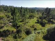 VENTA CAMPO FINANCIADO TOMA VEHICULO PROXIMO AL LAGO...