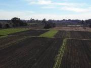 Venta Campo Pilar