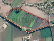 VENTA CAMPO PRODUCTIVO TIL TIL SECTOR CHAMPA