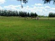 venta campo Ranchos