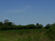 VENTA: CAMPO/QUINTA EN CORONDA Ref. 431