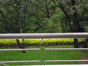 VENTA CASA 4 RECAMARAS VISTA ARBOLADA AMPLIOS ESPACIOS...