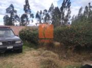 VENTA – CASA AMPLIA EN VENTA CON TERRENO GRANDE EN EL...