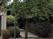 Venta Casa Bosque de Jacarandas, Bosque de las Lomas