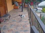 VENTA CASA CAMPESTRE EN LA LINDA MANIZALES | CASA EN VENTA