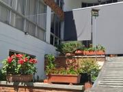 VENTA CASA CAMPESTRE SABANETA