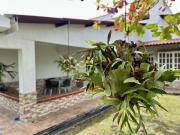 VENTA CASA CAMPESTRE VIA AL AEROPUERTO CON 3 VIVIENDAS