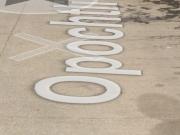 VENTA CASA CESION D DERECHOS OPOCHTLI Nueva España...