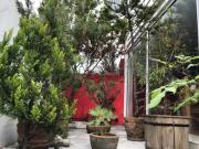 Casa contemporánea en venta en Club de Golf México