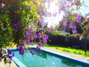 VENTA CASA CON PILETA ARROYO SECO