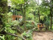 VENTA CASA CON TERRAZA, JARDÍN Y CHIMENEA EN AVÁNDARO...