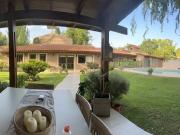 VENTA CASA EN CHACRAS DE CORIA, LUJAN, MENDOZA