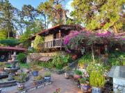 VENTA CASA EN COLONIA DEL BOSQUE V354