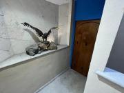 Venta Casa en Fraccionamiento Huertas del Llano $16&apos...