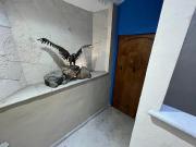 Venta Casa en Fraccionamiento Huertas del Llano,...