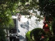 venta casa en las lomas de Chapultepec