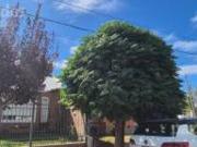 VENTA casa en planta baja 3 Dor. Plottier