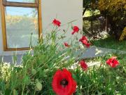 Venta Casa encantadora en Peninsula San Pedro, Bariloche