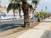 Venta casa esquina en avenida 18 septiembre, Arica Venta casa esquina en avenida 18 septiembre, Arica