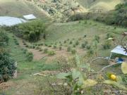 Venta Casa Finca en Marinilla Antioquia