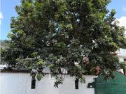 Venta casa La California Norte