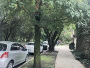 VENTA CASA LOMAS CHAPULTEPEC SIERRA IXTLÁN