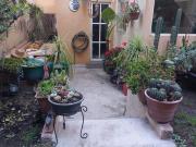 Venta casa remodelada, con vigilancia!