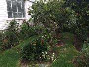 VENTA CASA RENTERA, NORTE DE QUITO, SEGURIDAD