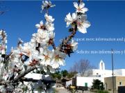 AUTÉNTICA FINCA PAYESA A REFORMAR