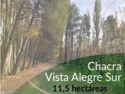Venta chacra 11,5 hectáreas en Vista Alegre Neuquén