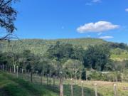VENTA CHACRA 52 HECTAREAS EN EL DORADO MISIONES