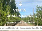 VENTA CHACRA 6,5 HAS FERNANDEZ ORO