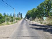 VENTA CHACRA 6 HECTAREAS ALLEN