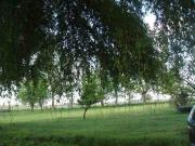 VENTA CHACRA 77450 M2 CAÑUELAS