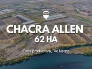 VENTA CHACRA ALLEN 62 HAS