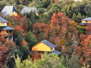 VENTA COMPLEJO DE CABAÑAS VILLA PEHUENIA PATAGONIA ARGENTINA