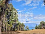 Venta De 2,7ha Con Increíble Vista Al Lago Y Volcán Villarri