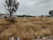 VENTA DE 2 HECTAREAS