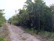 Venta de 2 lotes El Pedregal en Cancún